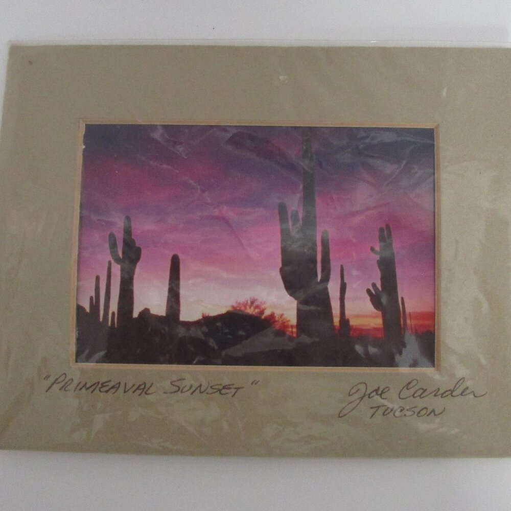 artisan signed photo print